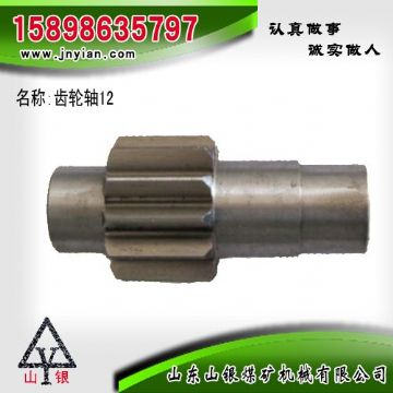 點(diǎn)擊查看詳細(xì)信息<br>標(biāo)題：齒輪軸12 江陰系列配件 閱讀次數(shù)：2146