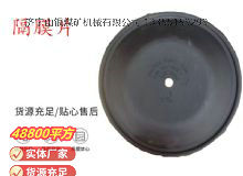 點擊查看詳細信息<br>標題：氣動隔膜泵配件-隔膜片 閱讀次數(shù)：246