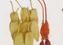 點(diǎn)擊查看詳細(xì)信息<br>標(biāo)題：取氣樣球膽 閱讀次數(shù)：132